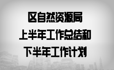 区自然资源局上半年工作总结和下半年工作计划