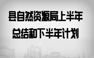县自然资源局上半年总结和下半年计划