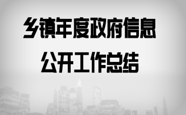 乡镇年度政府信息公开工作总结