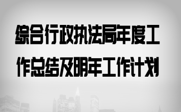 综合行政执法局年度工作总结及明年工作计划