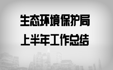 生态环境保护局上半年工作总结