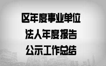 区年度事业单位法人年度报告公示工作总结