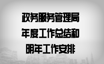 政务服务管理局年度工作总结和明年工作安排