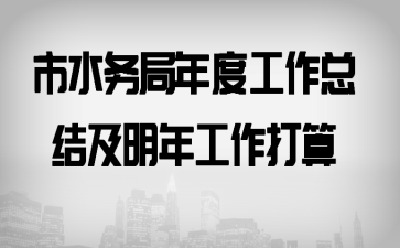 市水务局年度工作总结及明年工作打算