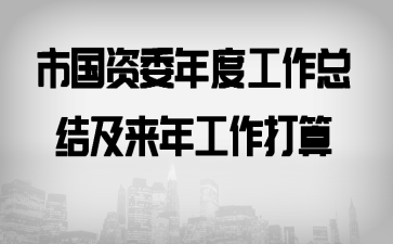 市国资委年度工作总结及来年工作打算