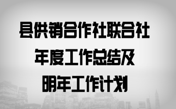 县供销合作社联合社年度工作总结及明年工作计划