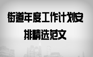 街道年度工作计划安排精选范文