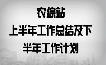 农综站上半年工作总结及下半年工作计划