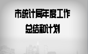 市统计局年度工作总结和计划
