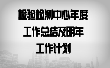 检验检测中心年度工作总结及明年工作计划