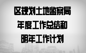区规划土地监察局年度工作总结和明年工作计划