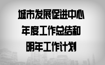 城市发展促进中心年度工作总结和明年工作计划