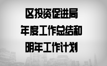 区投资促进局年度工作总结和明年工作计划