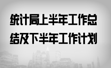 统计局上半年工作总结及下半年工作计划