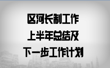 区河长制工作上半年总结及下一步工作计划