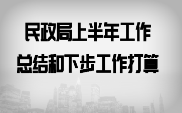 民政局上半年工作总结和下步工作打算