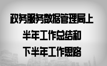 政务服务数据管理局上半年工作总结和下半年工作思路