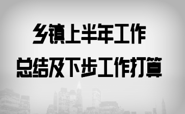 乡镇上半年工作总结及下步工作打算