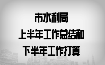 市水利局上半年工作总结和下半年工作打算