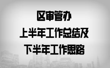 区审管办上半年工作总结及下半年工作思路