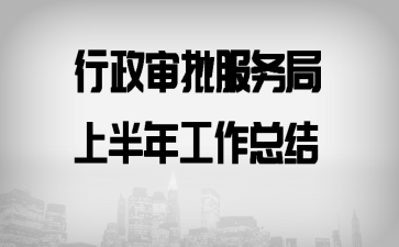 行政审批服务局上半年工作总结