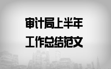 审计局上半年工作总结范文