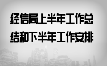 经信局上半年工作总结和下半年工作安排