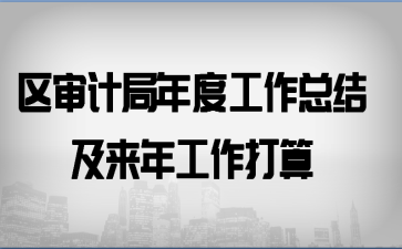区审计局年度工作总结及来年工作打算