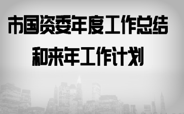 市国资委年度工作总结和来年工作计划