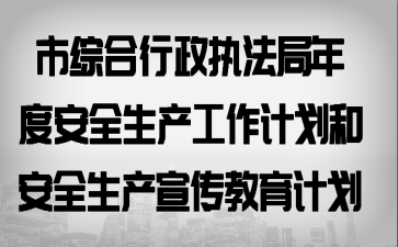 ���ۺ�����ִ������Ȱ�ȫ���������ƻ��Ͱ�ȫ�������������ƻ�