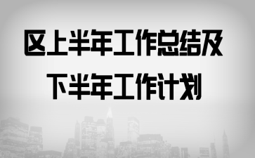 区上半年工作总结及下半年工作计划