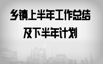 乡镇上半年工作总结及下半年计划