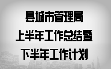 县城市管理局上半年工作总结暨下半年工作计划