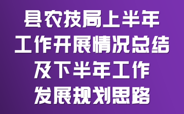 ��ũ�����ϰ��깤����չ����ܽἰ�°��깤����չ�滮˼·