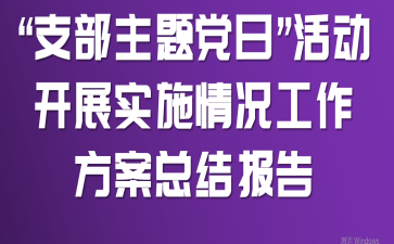 “支部主题党日”活动开展实施情况工作方案总结报告
