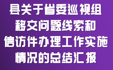 县关于省委巡视组移交问题线索和信访件办理工作实施情况的总结汇报