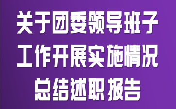 关于团委领导班子工作开展实施情况总结述职报告