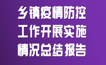 乡镇疫情防控工作开展实施情况总结报告