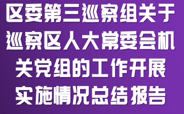 区委第三巡察组关于巡察区人大常委会机关党组的工作开展实施情况总结报告