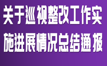 关于巡视整改工作实施进展情况总结通报