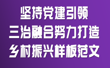 坚持党建引领三治融合努力打造乡村振兴样板范文