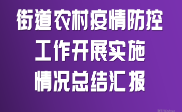 (街道)农村疫情防控工作开展实施情况总结汇报