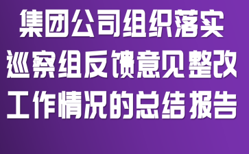 集团公司组织落实巡察组反馈意见整改工作情况的总结报告