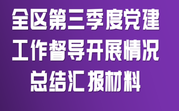 全区第三季度党建工作督导开展情况总结汇报材料