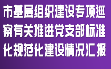 市基层组织建设专项巡察有关推进党支部标准化规范化建设情况汇报