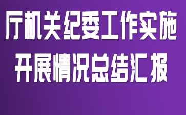 厅机关纪委工作实施开展情况总结汇报