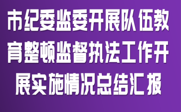 市纪委监委开展队伍教育整顿监督执法工作开展实施情况总结汇报