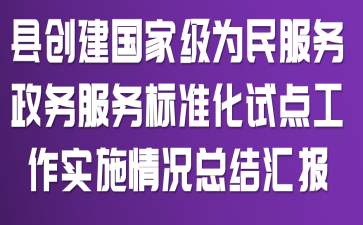 县创建国家级为民服务政务服务标准化试点工作实施情况总结汇报
