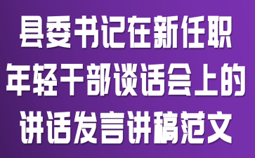 县委书记在新任职年轻干部谈话会上的讲话发言讲稿范文