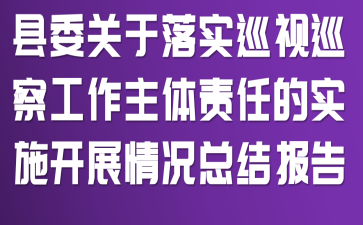 县委关于落实巡视巡察工作主体责任的实施开展情况总结报告